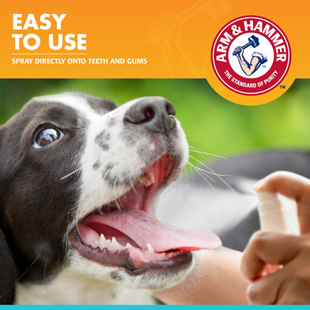 Arm & Hammer Fresh Breath Mint Dental Spray - Product Image 2