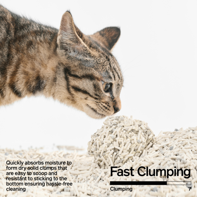 Pidan Tofu & Bentonite Clay Cat Litter - Product Image 4