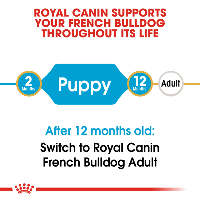 Royal Canin French Bulldog Puppy Dry Dog Food - Product Image 6