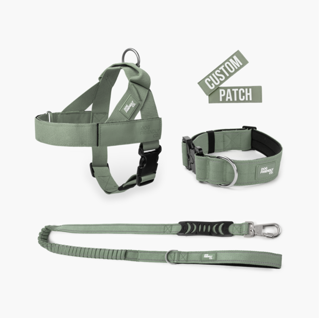 Dog Friendly Co. Premium Dog Lovers Pack  - Product Image