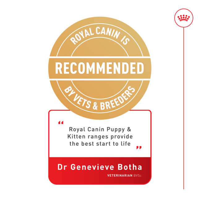 Royal Canin Mini Puppy Dry Dog Food - Product Image 10