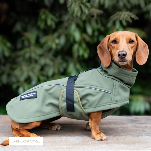 Pointer & Hound Waterproof Dog Jacket  - Product Image