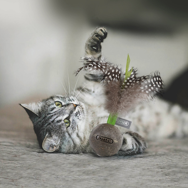 JOYSER Catnip Wobble Ball Cat Toy - Product Image 3