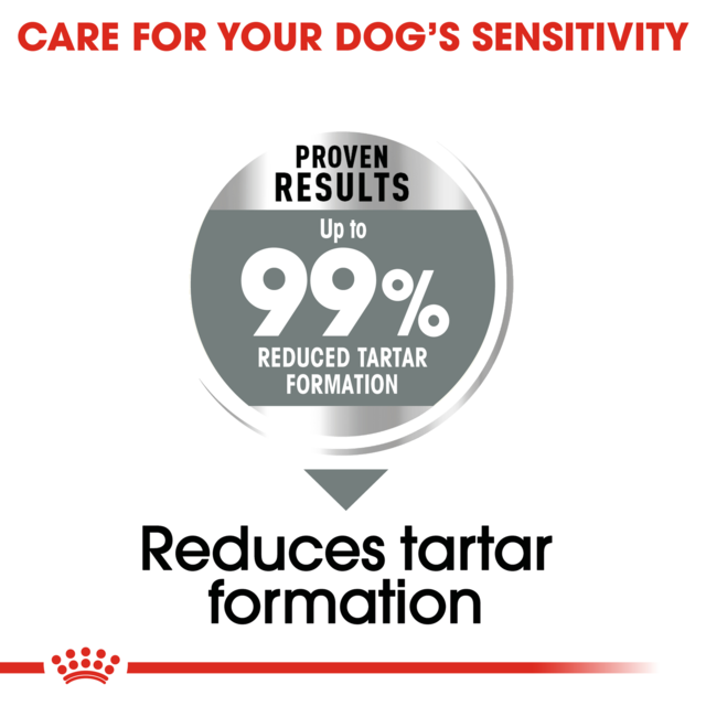 Royal Canin Medium Dental Care Dry Dog Food - Product Image 4