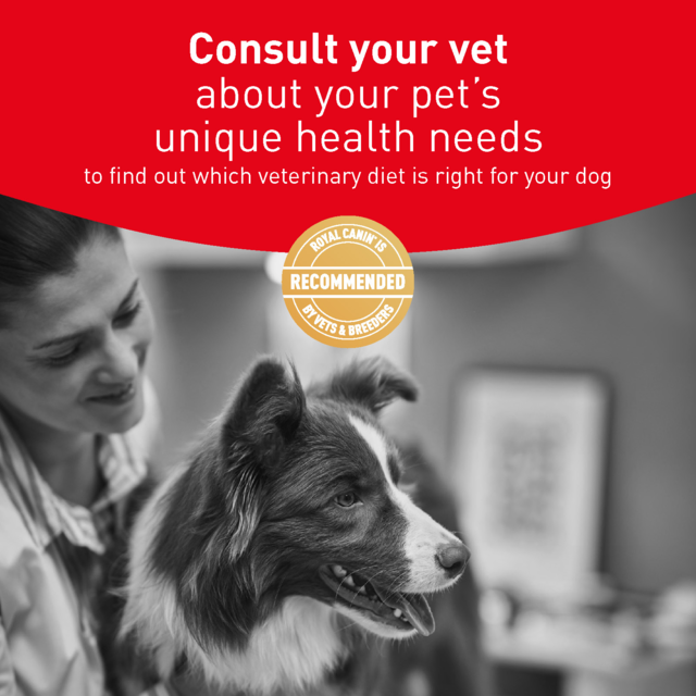 Royal Canin Vet Glycobalance Dry Dog Food - Product Image 4