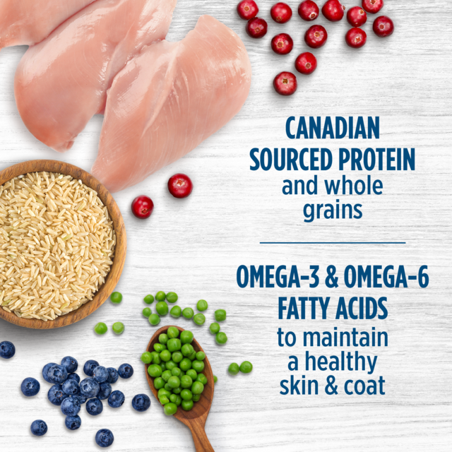 Nutrience Original Chicken & Brown Rice Puppy Dry Dog Food - Product Image 1