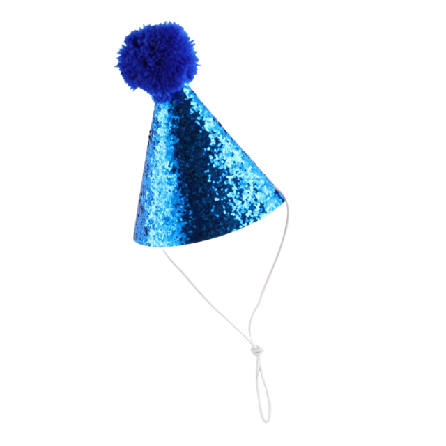 M-PETS Party Time Gentleman Birthday Party Pack For Dogs - Product Image 5