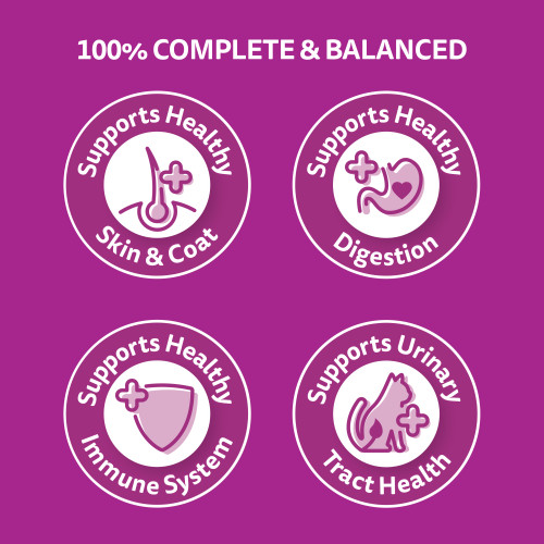 Whiskas Adult Sardine & Prawn Dry Cat Food - Product Image 5