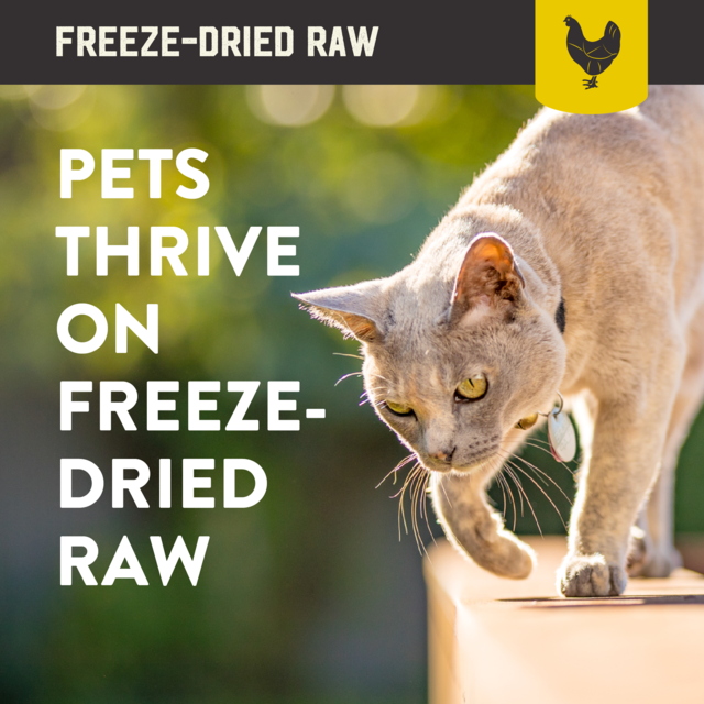 Kiwi Kitchens Chicken Freeze Dried Cat Food - Product Image 6