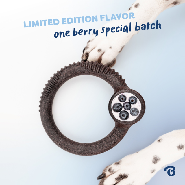 Benebone Blueberry Ring  Dog Chew Toy - Product Image 5