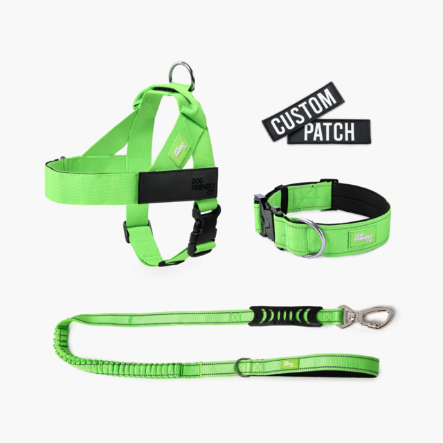 Dog Friendly Co. Dog Lovers Pack - Product Image 3