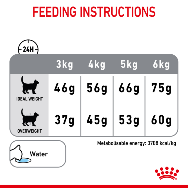 Royal Canin Dental Care Dry Cat Food - Product Image 6