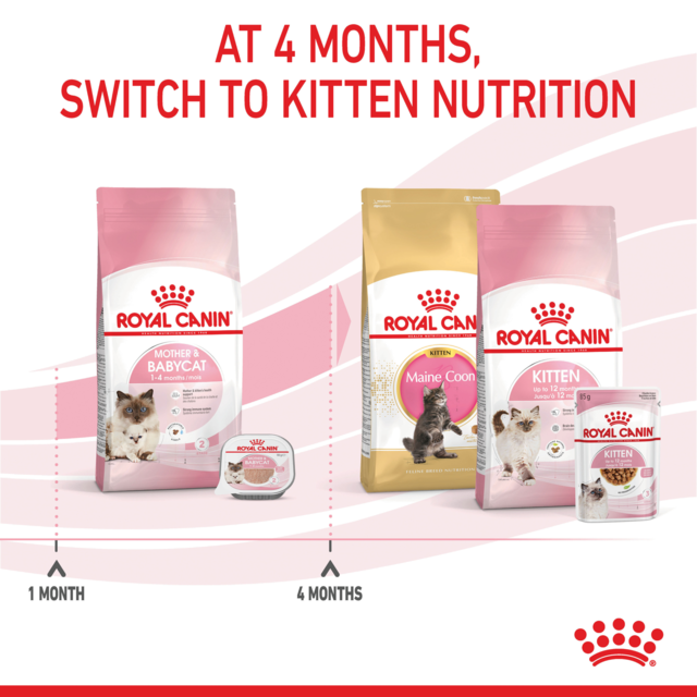 Royal Canin Mother & Babycat Dry Cat Food - Product Image 5