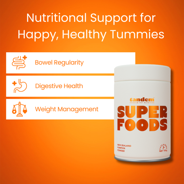 Tandem Cat & Dog Pumpkin Powder Super Food - Product Image 1