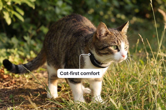 Tractive Cat 6 Mini GPS Tracker - Product Image 2