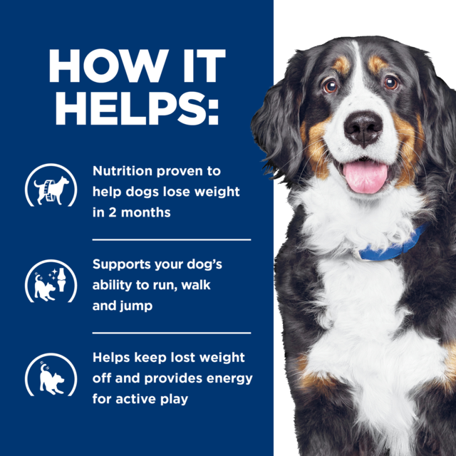 Hill's Prescription Diet j/d Metabolic + Mobility Dry Dog Food - Product Image 5