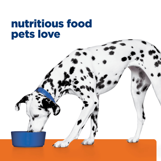 Hill's Prescription Diet u/d Urinary Care Dry Dog Food - Product Image 12