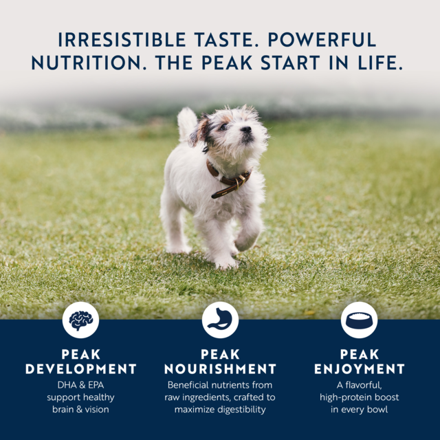ZIWI Peak Puppy Chicken & Lamb Wet Dog Food - Product Image 4