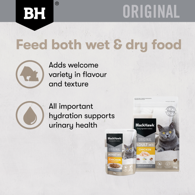 Black Hawk Original Adult Chicken in Gravy Bulk Wet Cat Food Bundle