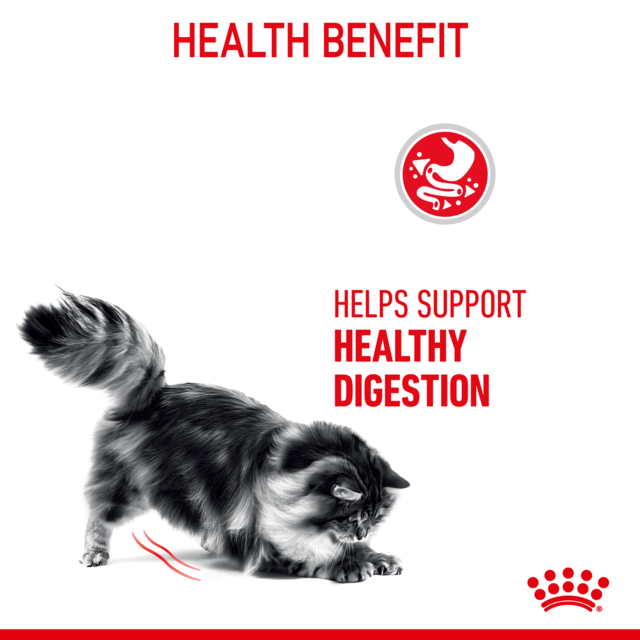 Royal Canin Digestive Care Dry Cat Food - Product Image 2