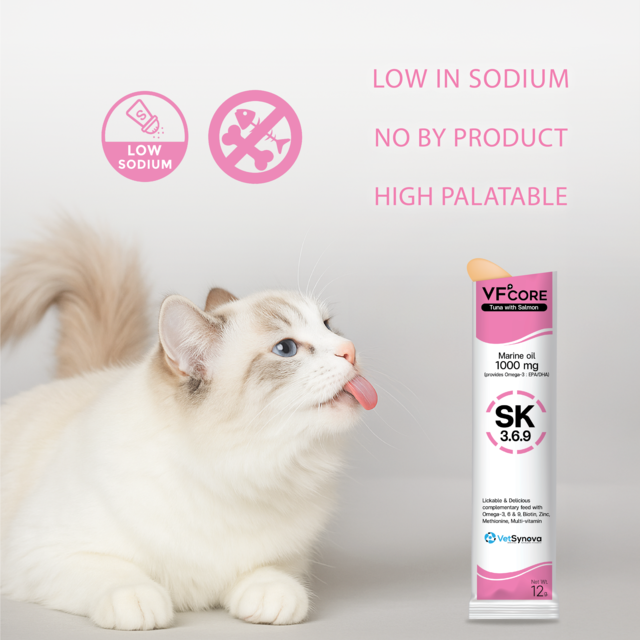 VetSynova VF+ Core SK Skin Support - Product Image 4