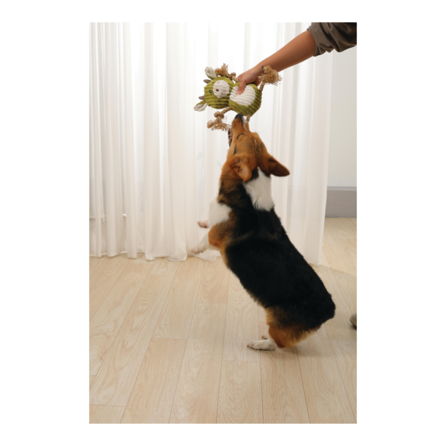 M-PETS Eco Rosie Dog Plush Toy - Product Image 4
