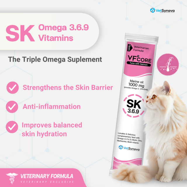 VetSynova VF+ Core SK Skin Support - Product Image 1