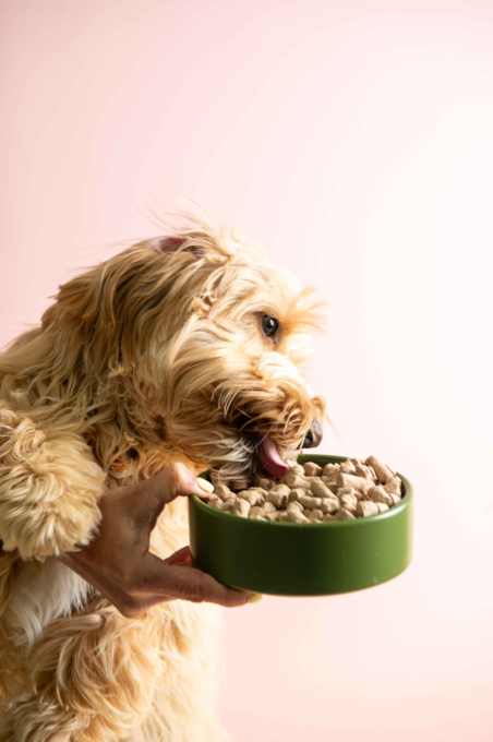 NRG+ Pure Gold Blend Beef Freeze Dried Dog Food - Product Image 3