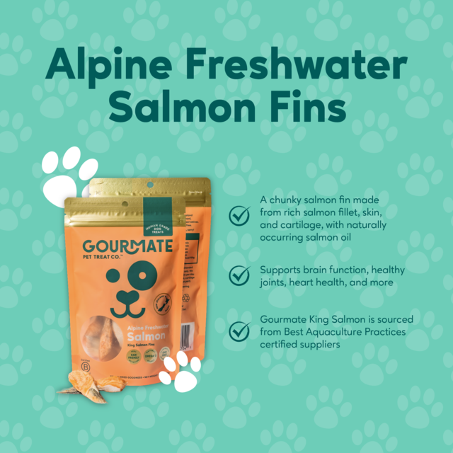 Gourmate Pet Treat Co. Alpine Freshwater Salmon Fins Dog Treats - Product Image 3
