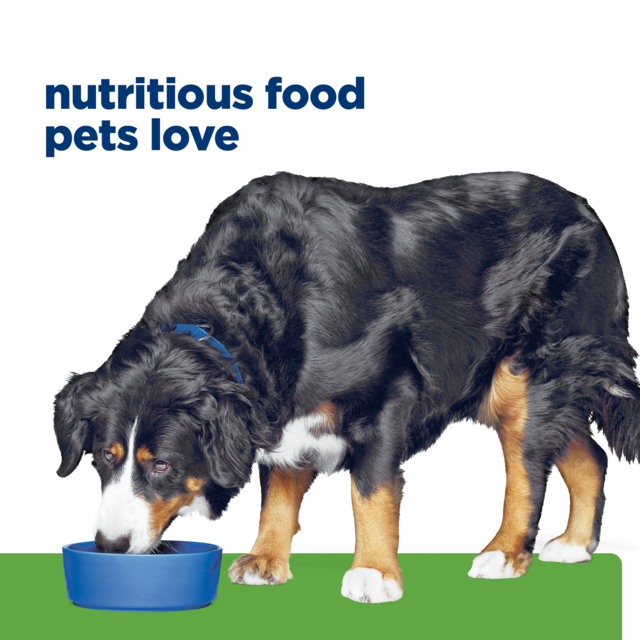 Hill's Prescription Diet j/d Metabolic + Mobility Dry Dog Food - Product Image 10
