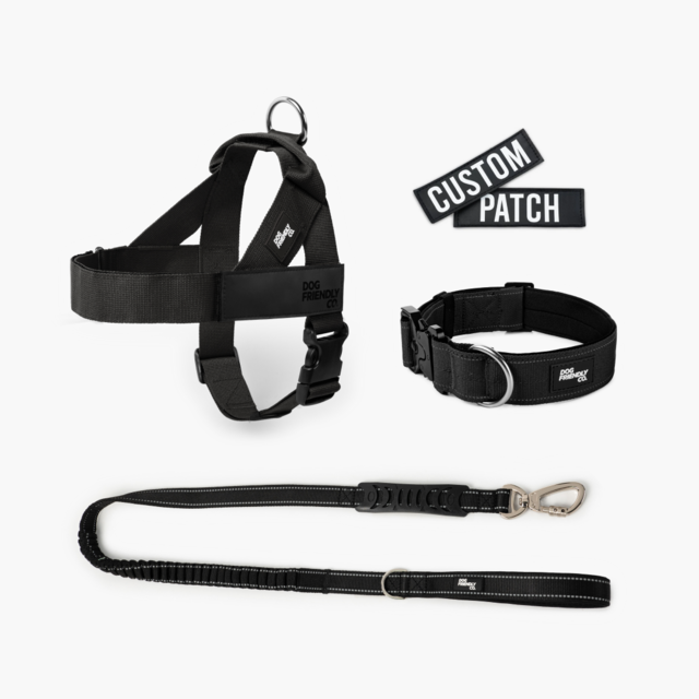Dog Friendly Co. Dog Lovers Pack - Product Image 1