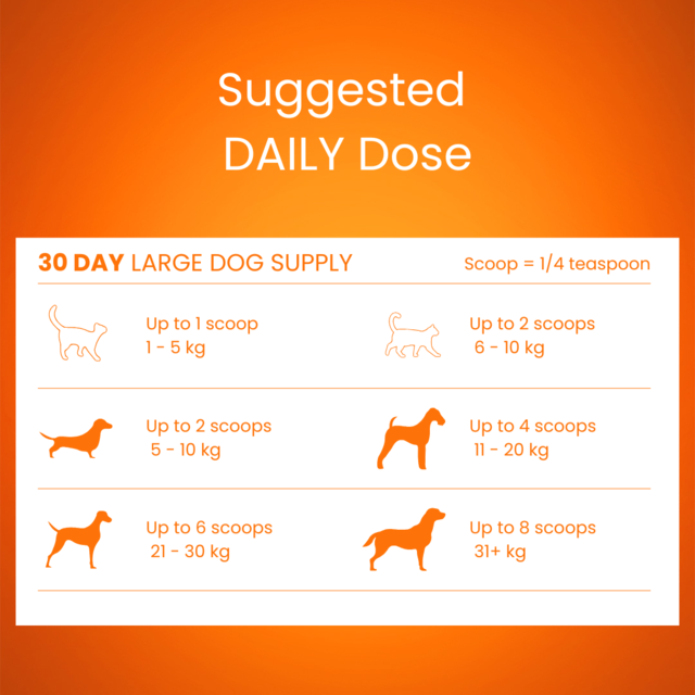 Tandem Cat & Dog Pumpkin Powder Super Food - Product Image 2