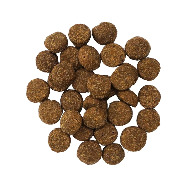 GO! Solutions Digestion + Gut Health Salmon Dry Dog Food - Product Image 4