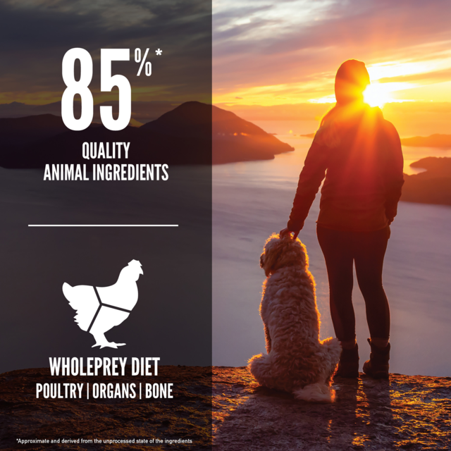 Orijen Senior Dry Dog Food - Product Image 4