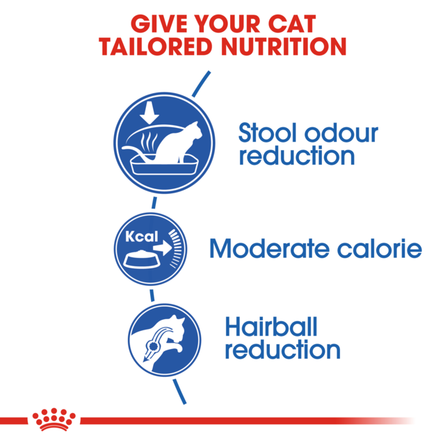 Royal Canin Indoor Dry Cat Food - Product Image 2