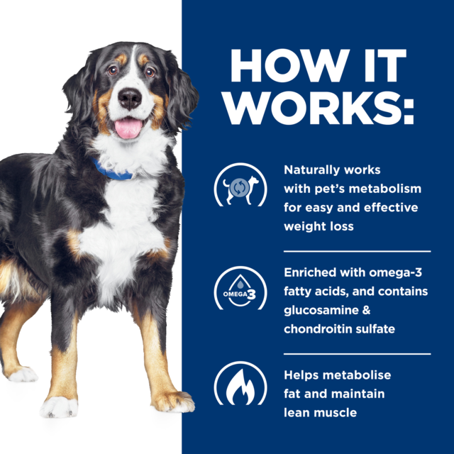 Hill's Prescription Diet j/d Metabolic + Mobility Dry Dog Food - Product Image 4