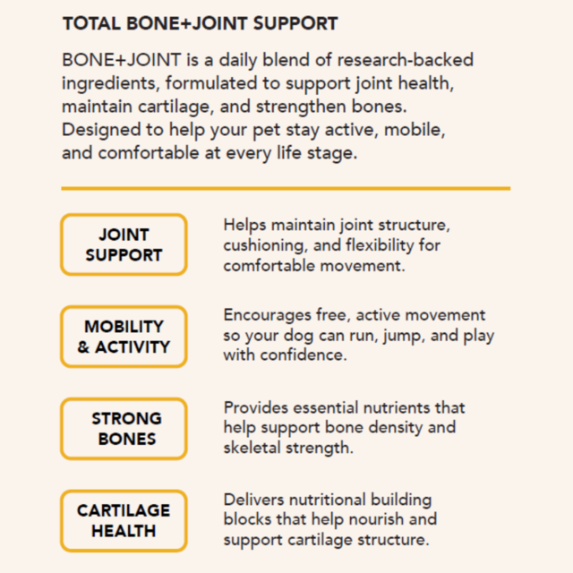 Tandem BONE+JOINT Super Blend for Cats & Dogs - Product Image 1