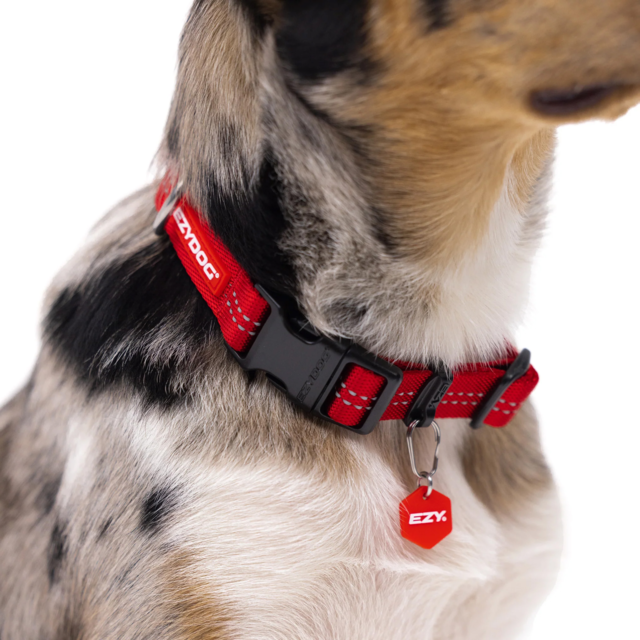 EzyDog Essential Adjustable Collar  - Product Image 7