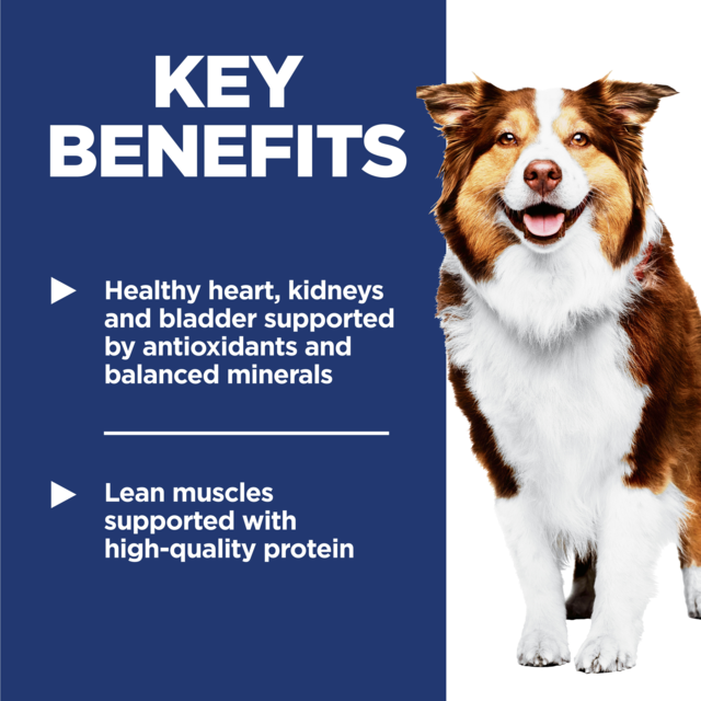 Hill's Science Diet Adult 7+ Senior Dry Dog Food - Product Image 4
