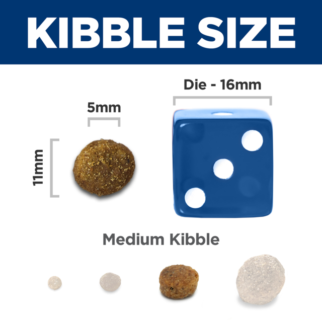 Hill's Prescription Diet b/d + j/d Cognitive + Mobility Dry Dog Food - Product Image 5