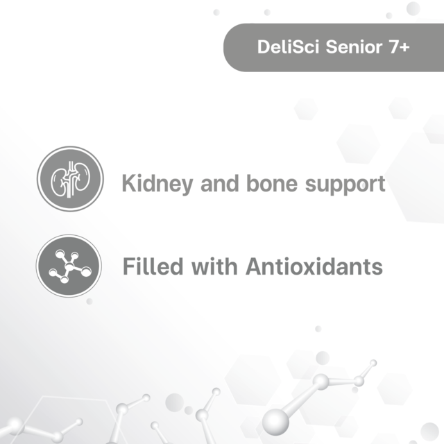 VetSynova DeliSci Senior 7+ Mousse Wet Cat Food - Product Image 5