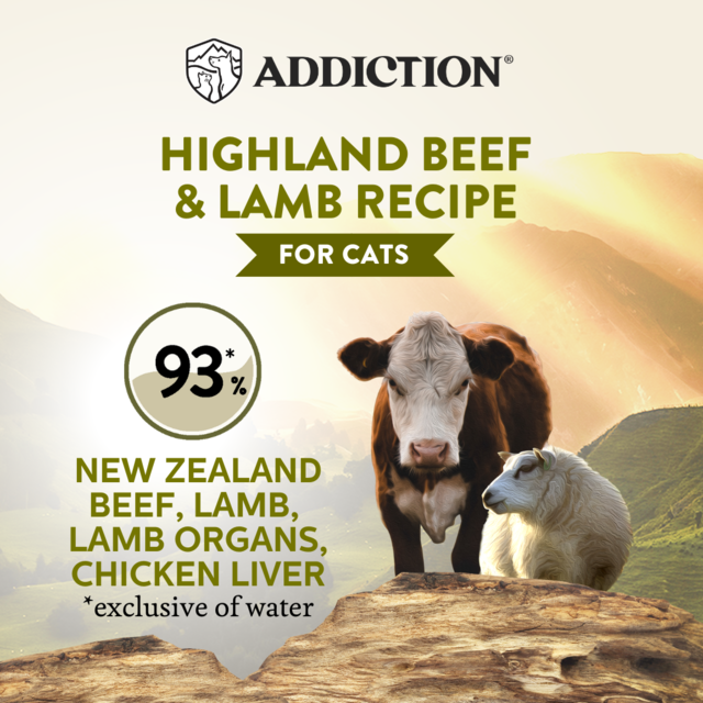 Addiction Wild Islands Highland Beef & Lamb Grain-Free Wet Cat Food - Product Image 2