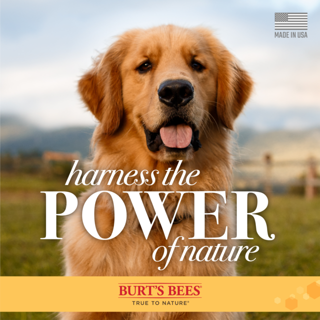 Burt's Bees Itch Soothing Dog Shampoo - Product Image 4