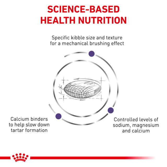 Royal Canin Vet Dental Small Dog Dry Dog Food - Product Image 1