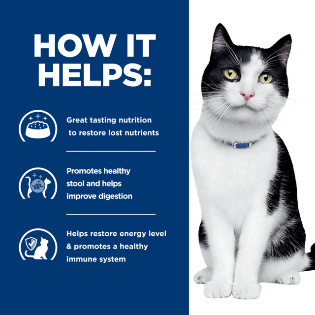 Hill's Prescription Diet i/d Digestive Care Dry Cat Food - Product Image 6