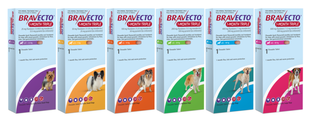 Bravecto 1 Month Triple Flea & Worm Treatment for Dogs - Product Image