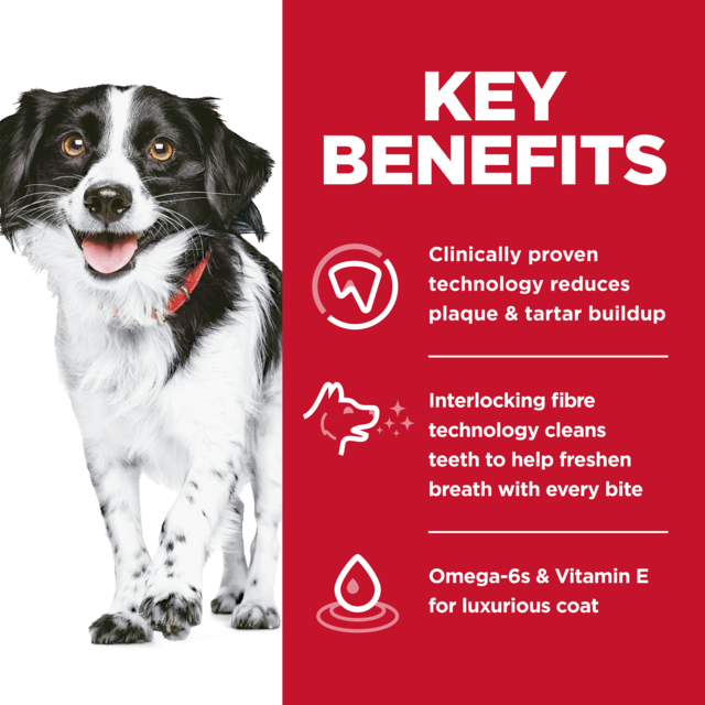 Hill's Science Diet Adult Oral Care Small & Mini Dry Dog Food - Product Image 3