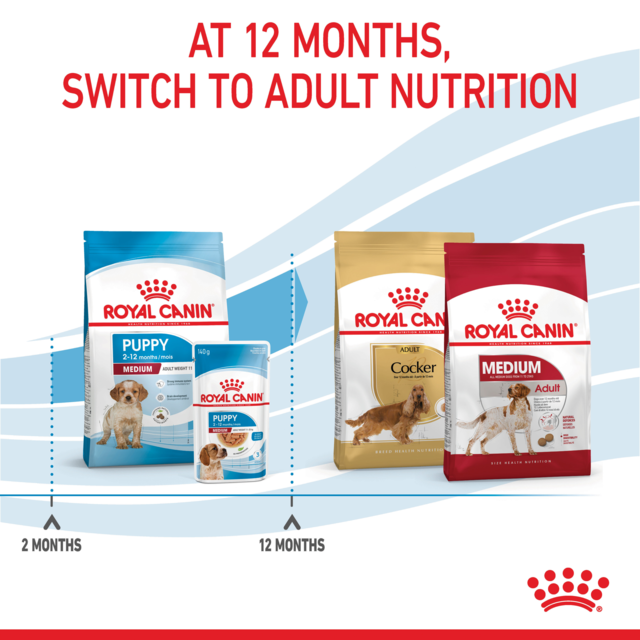Royal Canin Medium Puppy Dry Dog Food Trial Bag - Product Image 7