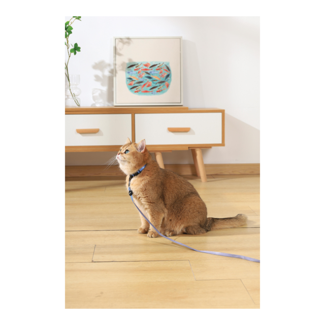 M-PETS Gentle Cat Harness and Leash Set - Product Image 11
