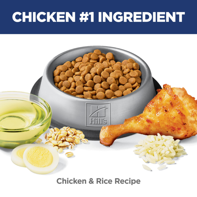 Hill's Science Diet Adult Sensitive Stomach & Skin Chicken Dry Cat Food - Product Image 5